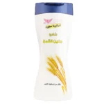 شامبو جنين القمح كويت شوب