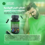 طحالب البحر الأيرلندية الأشواغاندا - وجذر الأرقطيون