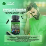 ⁦طحالب البحر الأيرلندية الأشواغاندا - وجذر الأرقطيون⁩ - الصورة ⁦2⁩