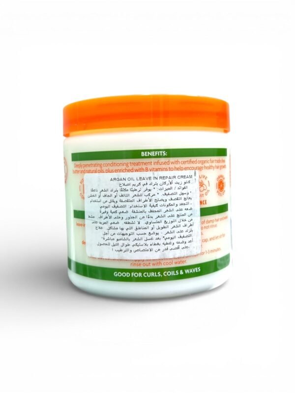 Cantu Shea Butter Argan Oil Leave In Conditioning (1)