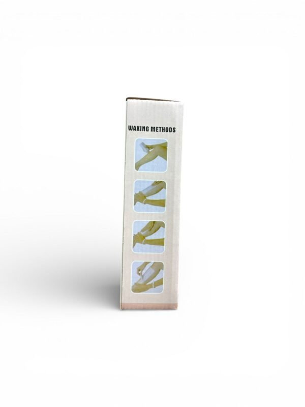 Depilatory Wax Heater (4)