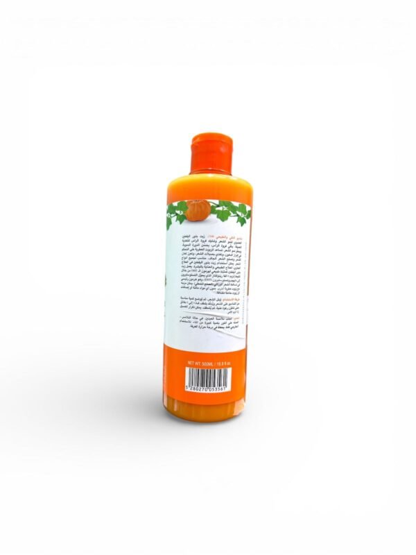 AMALICO Pumpkin Seed Oil Shampoo (2)