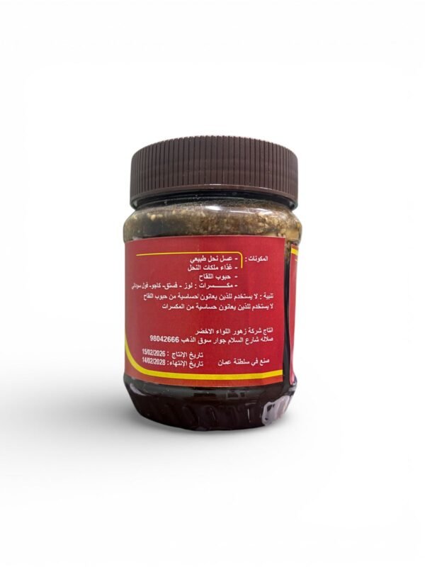 Honey with Nuts 500g natural blend for energy and appetite support (2)