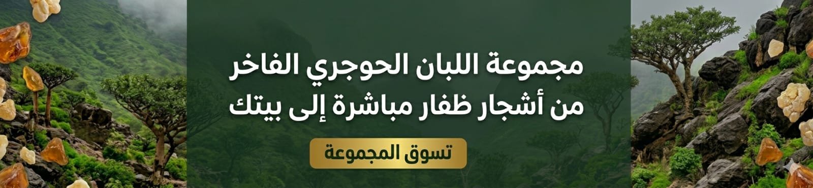 مجموعة اللبان الحوجري الفاخر