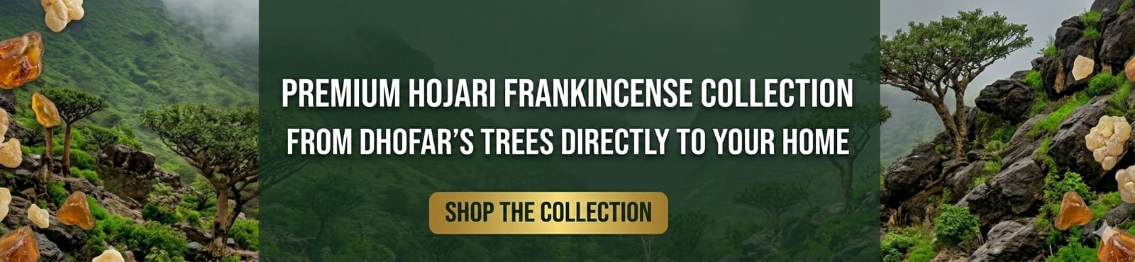 Premium Frankincense Collection